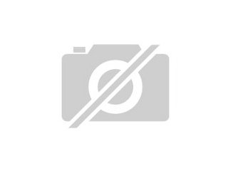 Industriegrundstück Produktionshallen Lagerhallen UNGARN